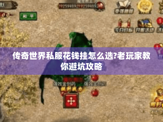 传奇世界私服花钱挂怎么选?老玩家教你避坑攻略 传奇世界私服花钱挂怎么选?老玩家教你避坑攻略