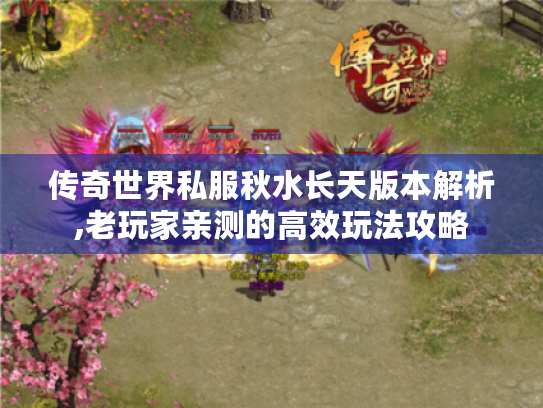 传奇世界私服秋水长天版本解析,老玩家亲测的高效玩法攻略