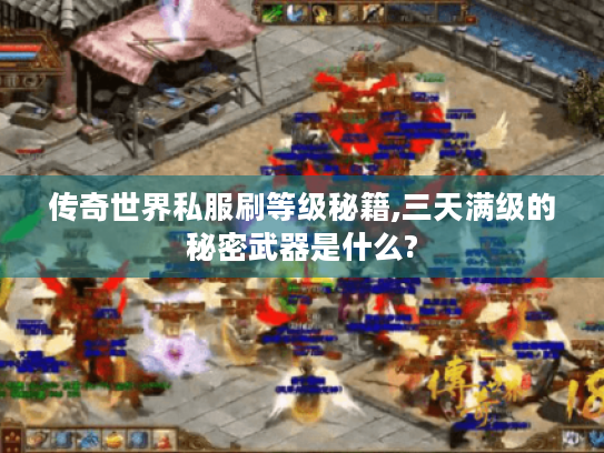 传奇世界私服刷等级秘籍,三天满级的秘密武器是什么? 传奇世界私服刷等级秘籍,三天满级的秘密武器是什么?