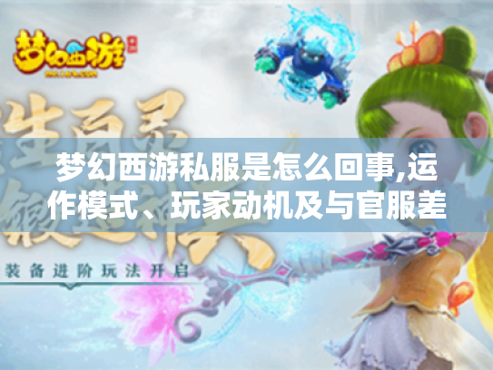 梦幻西游私服是怎么回事,运作模式、玩家动机及与官服差异揭秘