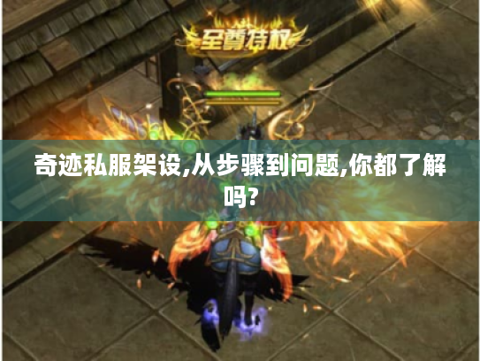 奇迹私服架设,从步骤到问题,你都了解吗? 奇迹私服架设,从步骤到问题,你都了解吗?