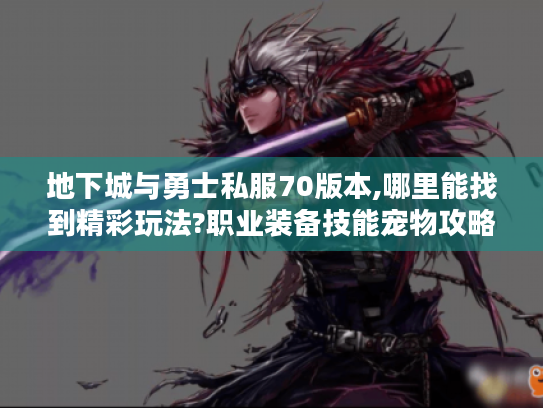 地下城与勇士私服70版本,哪里能找到精彩玩法?职业装备技能宠物攻略揭秘