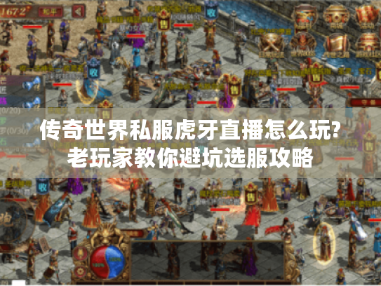 传奇世界私服虎牙直播怎么玩?老玩家教你避坑选服攻略 传奇世界私服虎牙直播怎么玩?老玩家教你避坑选服攻略