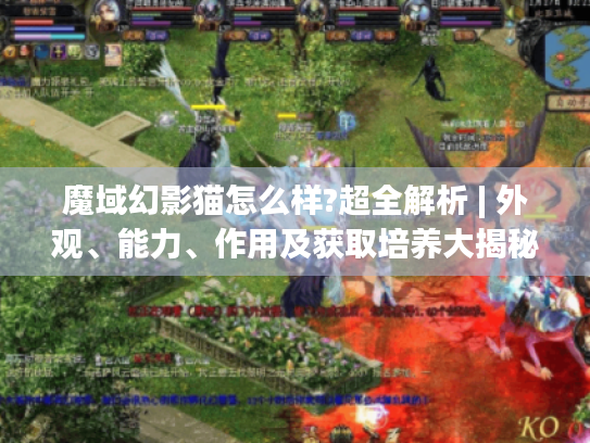 魔域幻影猫怎么样?超全解析 | 外观、能力、作用及获取培养大揭秘 魔域幻影猫怎么样?超全解析 | 外观、能力、作用及获取培养大揭秘