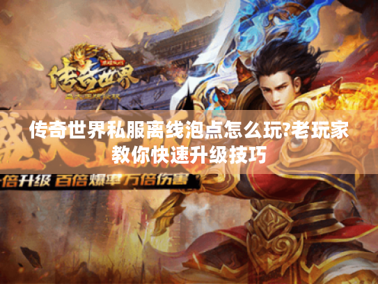 传奇世界私服离线泡点怎么玩?老玩家教你快速升级技巧