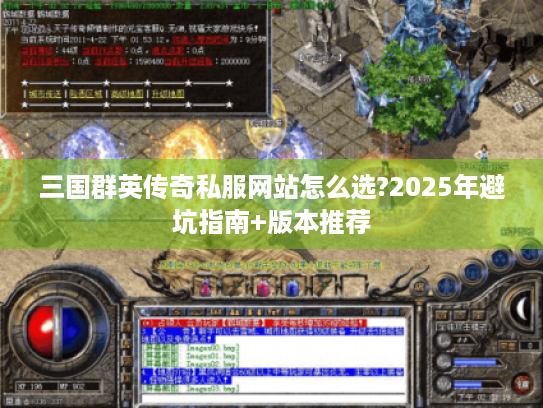 三国群英传奇私服网站怎么选?2025年避坑指南+版本推荐 三国群英传奇私服网站怎么选?2025年避坑指南+版本推荐