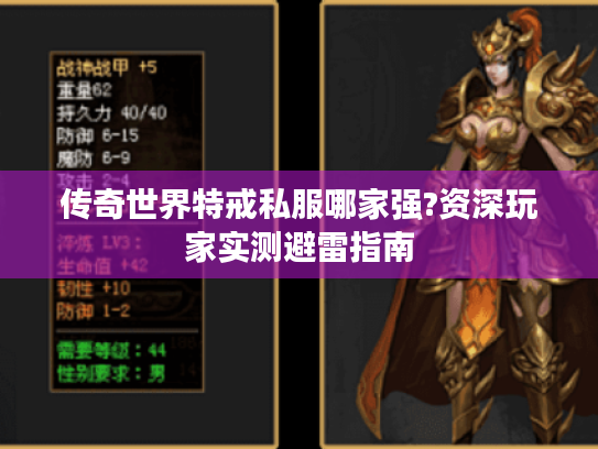 传奇世界特戒私服哪家强?资深玩家实测避雷指南 传奇世界特戒私服哪家强?资深玩家实测避雷指南