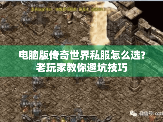 电脑版传奇世界私服怎么选?老玩家教你避坑技巧 电脑版传奇世界私服怎么选?老玩家教你避坑技巧