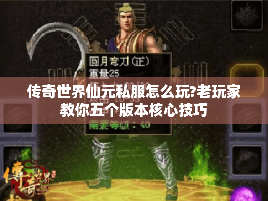 传奇世界仙元私服怎么玩?老玩家教你五个版本核心技巧 传奇世界仙元私服怎么玩?老玩家教你五个版本核心技巧