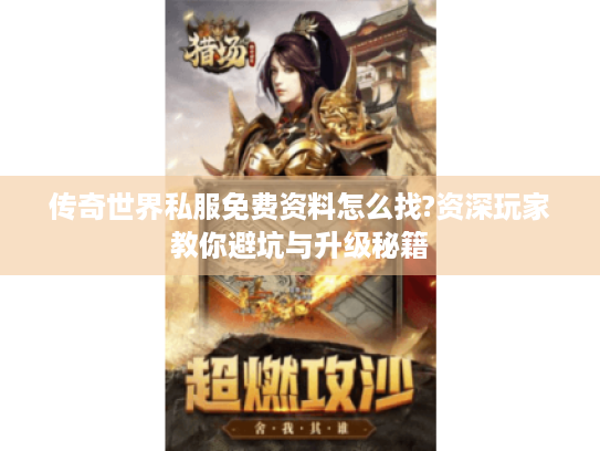 传奇世界私服免费资料怎么找?资深玩家教你避坑与升级秘籍