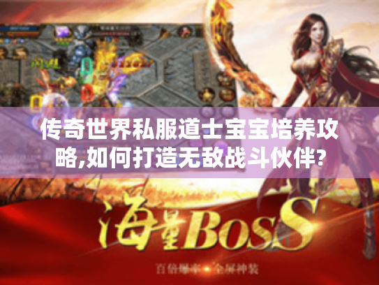 传奇世界私服道士宝宝培养攻略,如何打造无敌战斗伙伴? 传奇世界私服道士宝宝培养攻略,如何打造无敌战斗伙伴?