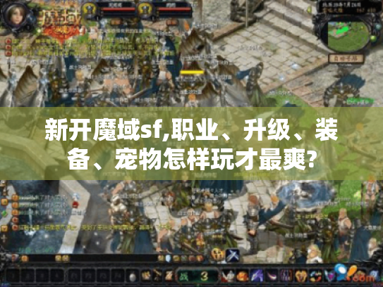 新开魔域sf,职业、升级、装备、宠物怎样玩才最爽? 新开魔域sf,职业、升级、装备、宠物怎样玩才最爽?