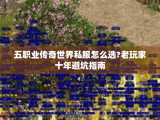 五职业传奇世界私服怎么选?老玩家十年避坑指南 五职业传奇世界私服怎么选?老玩家十年避坑指南