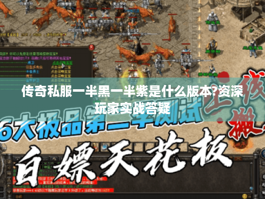 传奇私服一半黑一半紫是什么版本?资深玩家实战答疑 传奇私服一半黑一半紫是什么版本?资深玩家实战答疑