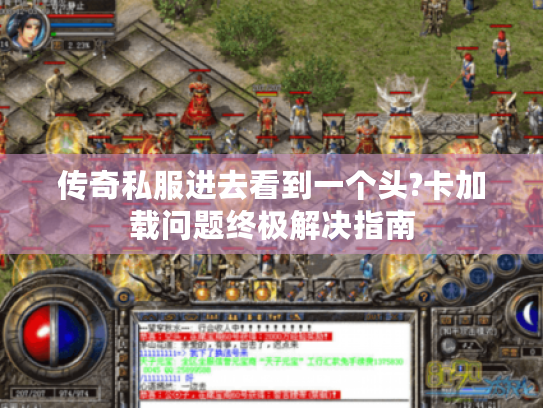 传奇私服进去看到一个头?卡加载问题终极解决指南 传奇私服进去看到一个头?卡加载问题终极解决指南