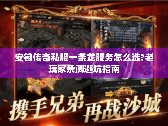 安徽传奇私服一条龙服务怎么选?老玩家亲测避坑指南 安徽传奇私服一条龙服务怎么选?老玩家亲测避坑指南