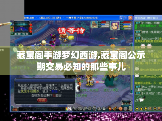 藏宝阁手游梦幻西游,藏宝阁公示期交易必知的那些事儿 藏宝阁手游梦幻西游,藏宝阁公示期交易必知的那些事儿