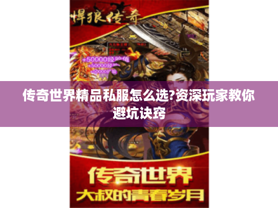 传奇世界精品私服怎么选?资深玩家教你避坑诀窍 传奇世界精品私服怎么选?资深玩家教你避坑诀窍
