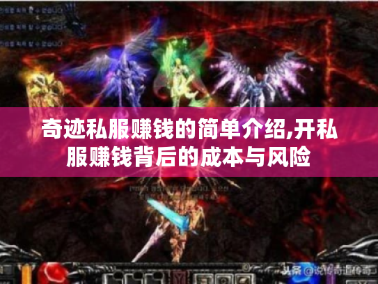 奇迹私服赚钱的简单介绍,开私服赚钱背后的成本与风险 奇迹私服赚钱的简单介绍,开私服赚钱背后的成本与风险