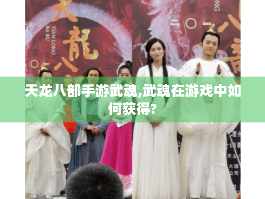 天龙八部手游武魂,武魂在游戏中如何获得? 天龙八部手游武魂,武魂在游戏中如何获得?