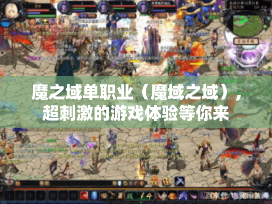 魔之域单职业（魔域之域）,超刺激的游戏体验等你来