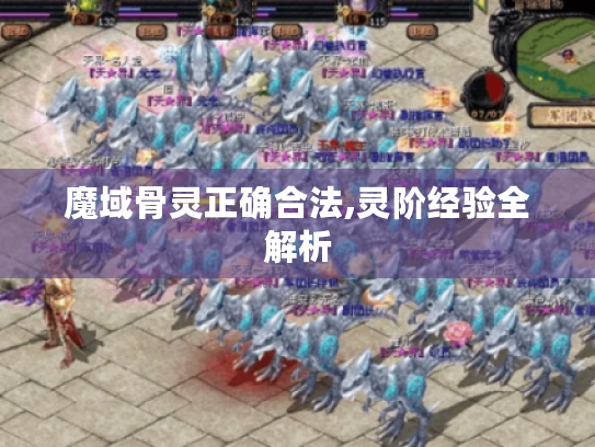 魔域骨灵正确合法,灵阶经验全解析 魔域骨灵正确合法,灵阶经验全解析