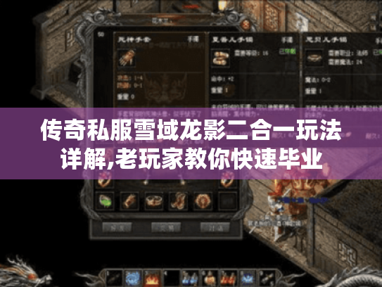 传奇私服雪域龙影二合一玩法详解,老玩家教你快速毕业 传奇私服雪域龙影二合一玩法详解,老玩家教你快速毕业