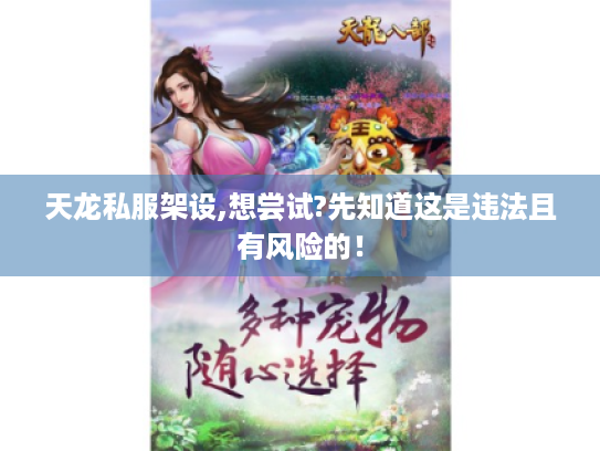 天龙私服架设,想尝试?先知道这是违法且有风险的! 天龙私服架设,想尝试?先知道这是违法且有风险的!