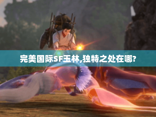 完美国际SF玉林,独特之处在哪?