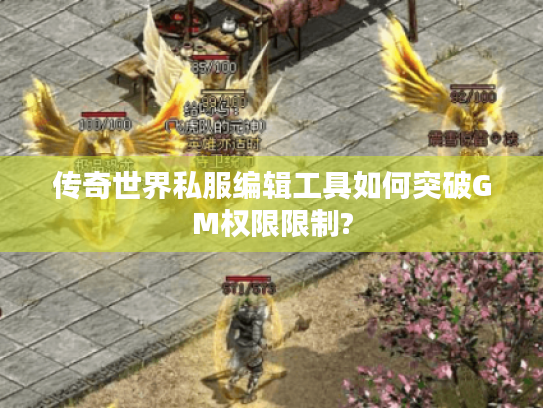 传奇世界私服编辑工具如何突破GM权限限制?