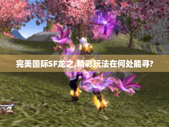 完美国际SF龙之,精彩玩法在何处能寻? 完美国际SF龙之,精彩玩法在何处能寻?