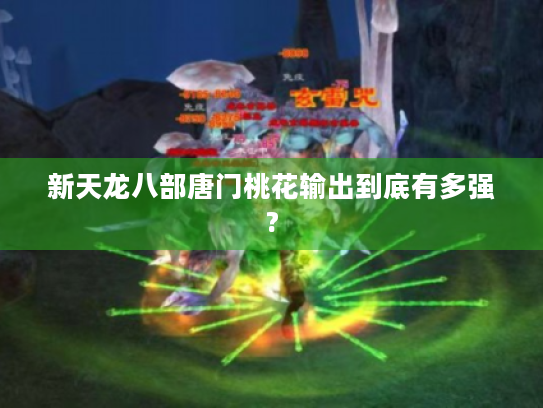 新天龙八部唐门桃花输出到底有多强? 新天龙八部唐门桃花输出到底有多强?