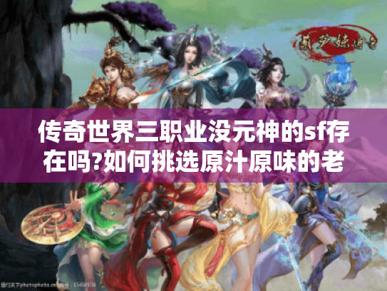 传奇世界三职业没元神的sf存在吗?如何挑选原汁原味的老版本私服 传奇世界三职业没元神的sf存在吗?如何挑选原汁原味的老版本私服