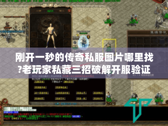 刚开一秒的传奇私服图片哪里找?老玩家私藏三招破解开服验证难题