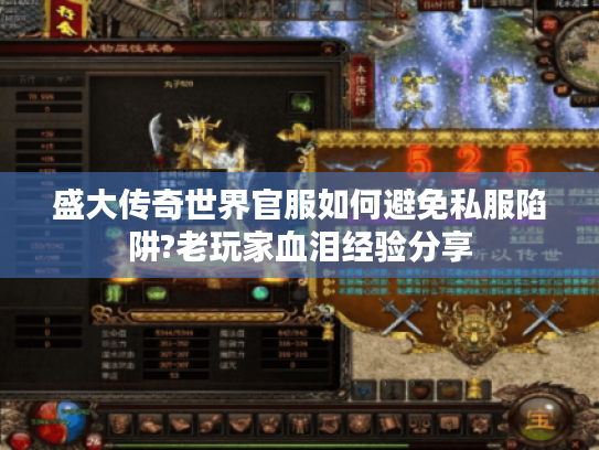 盛大传奇世界官服如何避免私服陷阱?老玩家血泪经验分享