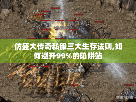 仿盛大传奇私服三大生存法则,如何避开99%的陷阱站 仿盛大传奇私服三大生存法则,如何避开99%的陷阱站