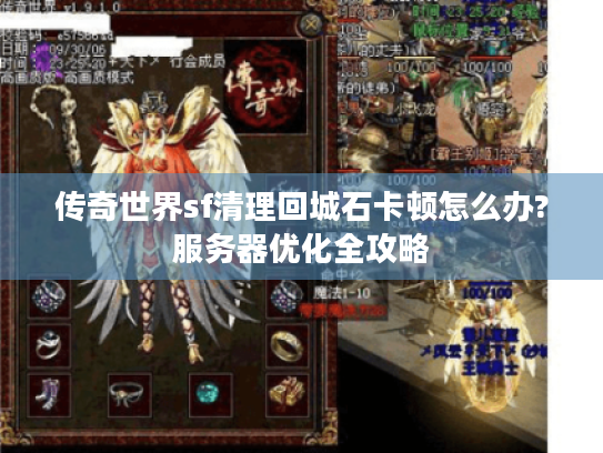 传奇世界sf清理回城石卡顿怎么办?服务器优化全攻略 传奇世界sf清理回城石卡顿怎么办?服务器优化全攻略