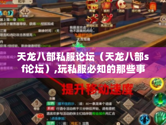 天龙八部私服论坛(天龙八部sf论坛),玩私服必知的那些事 天龙八部私服论坛(天龙八部sf论坛),玩私服必知的那些事