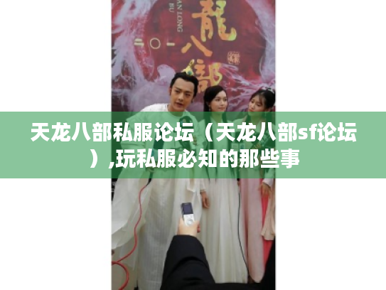 天龙八部私服论坛(天龙八部sf论坛),玩私服必知的那些事 天龙八部私服论坛(天龙八部sf论坛),玩私服必知的那些事