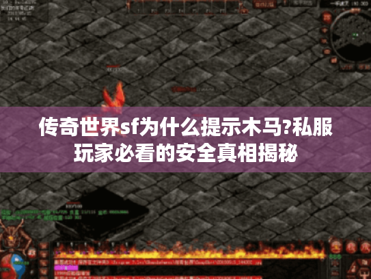 传奇世界sf为什么提示木马?私服玩家必看的安全真相揭秘