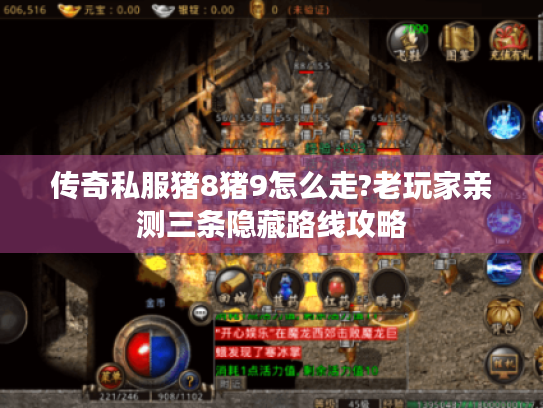 传奇私服猪8猪9怎么走?老玩家亲测三条隐藏路线攻略 传奇私服猪8猪9怎么走?老玩家亲测三条隐藏路线攻略