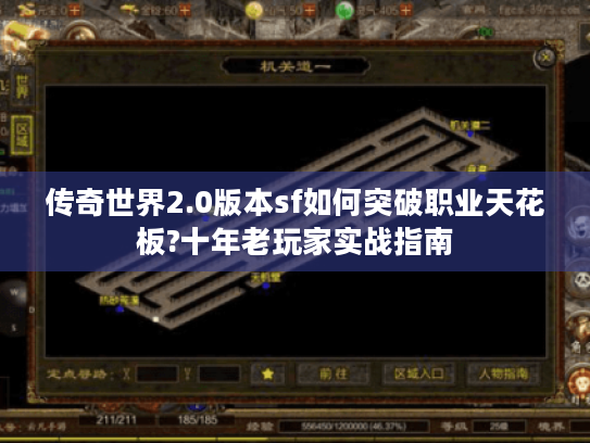 传奇世界2.0版本sf如何突破职业天花板?十年老玩家实战指南