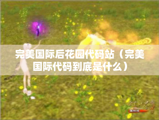 完美国际后花园代码站（完美国际代码到底是什么）
