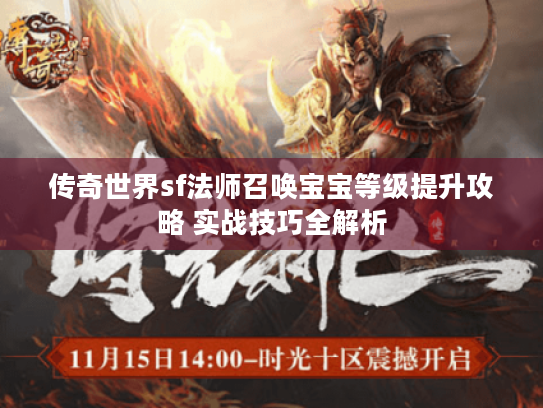 传奇世界sf法师召唤宝宝等级提升攻略 实战技巧全解析