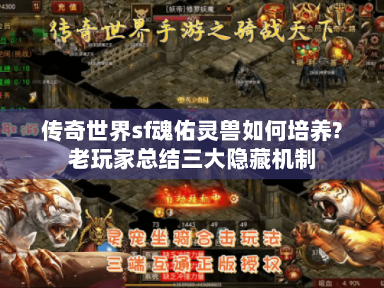 传奇世界sf魂佑灵兽如何培养?老玩家总结三大隐藏机制 传奇世界sf魂佑灵兽如何培养?老玩家总结三大隐藏机制
