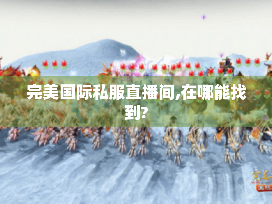 完美国际私服直播间,在哪能找到? 完美国际私服直播间,在哪能找到?