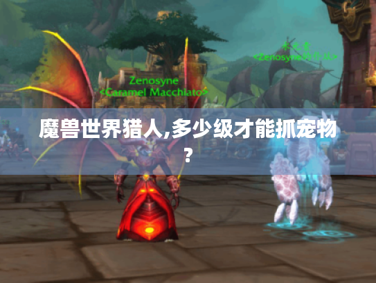 魔兽世界猎人,多少级才能抓宠物?