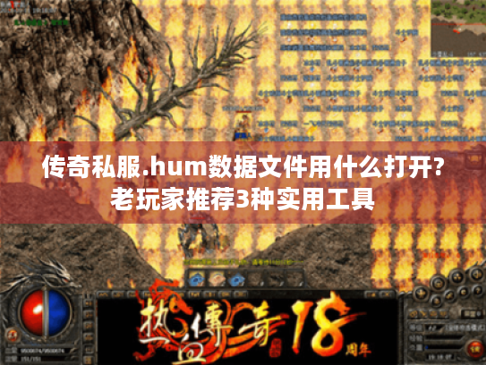 传奇私服.hum数据文件用什么打开?老玩家推荐3种实用工具 传奇私服.hum数据文件用什么打开?老玩家推荐3种实用工具