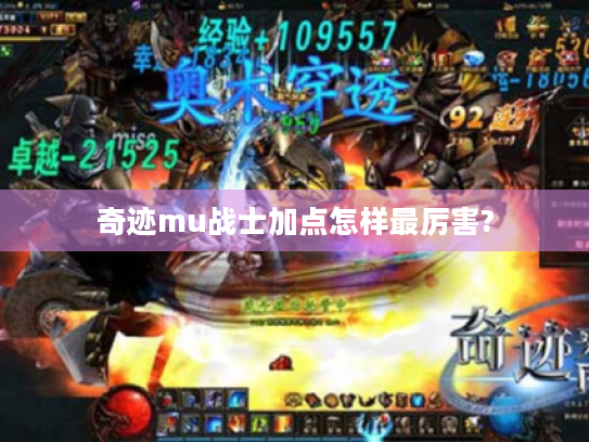 奇迹mu战士加点怎样最厉害?