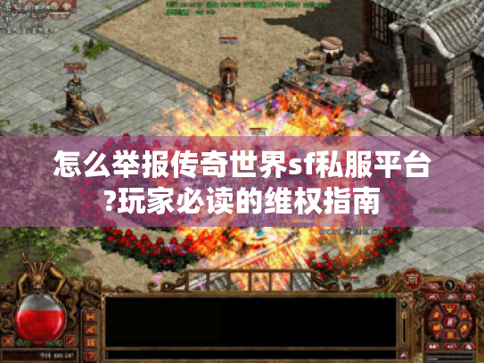 怎么举报传奇世界sf私服平台?玩家必读的维权指南 怎么举报传奇世界sf私服平台?玩家必读的维权指南